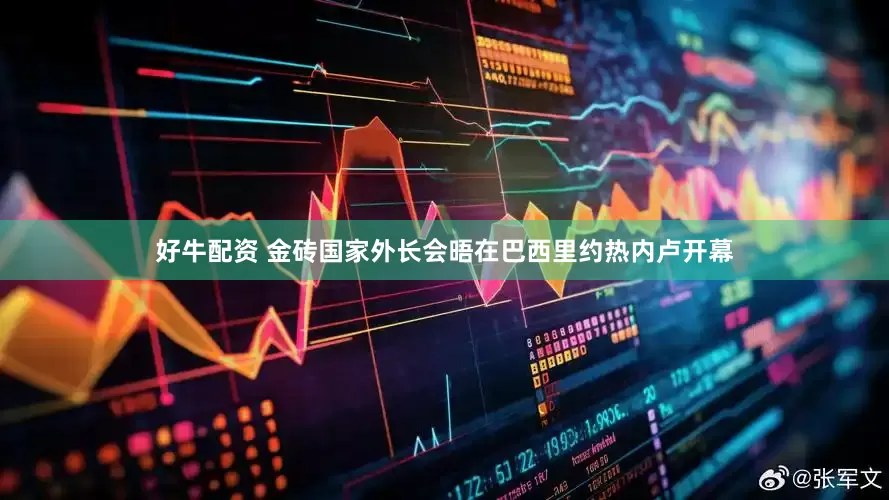 好牛配资 金砖国家外长会晤在巴西里约热内卢开幕
