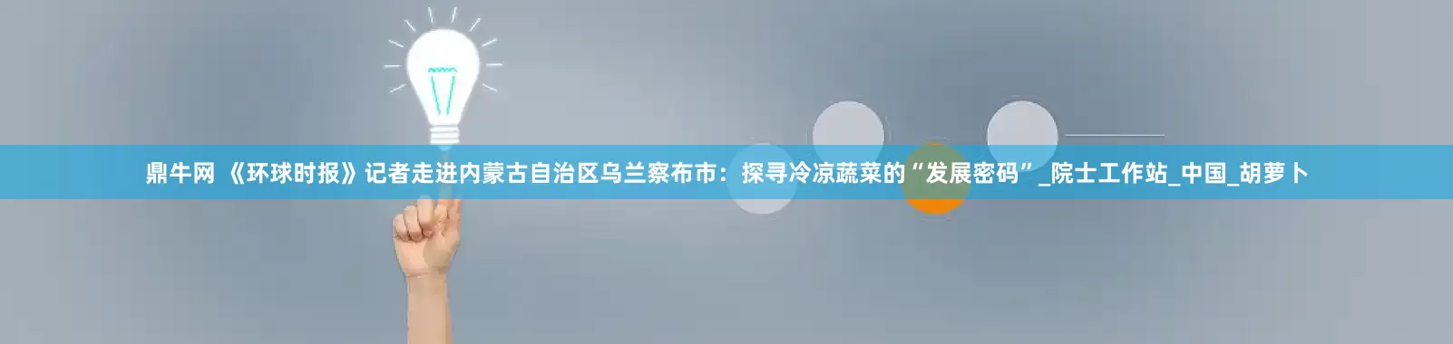 鼎牛网 《环球时报》记者走进内蒙古自治区乌兰察布市：探寻冷凉蔬菜的“发展密码”_院士工作站_中国_胡萝卜