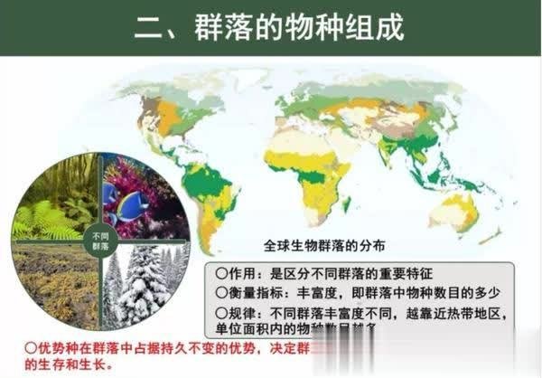 驰赢策略 群落知识大科普全解要点呀，这3个方面要清楚