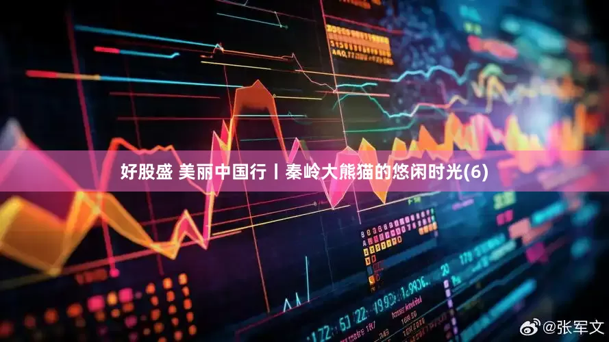 好股盛 美丽中国行丨秦岭大熊猫的悠闲时光(6)